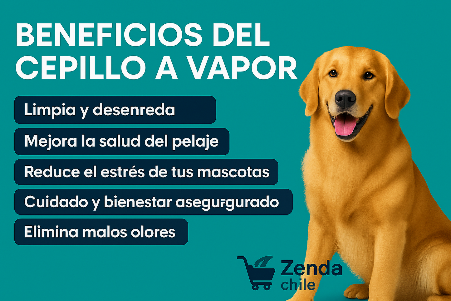 Cepillo de Vapor Con Mango 3 En 1